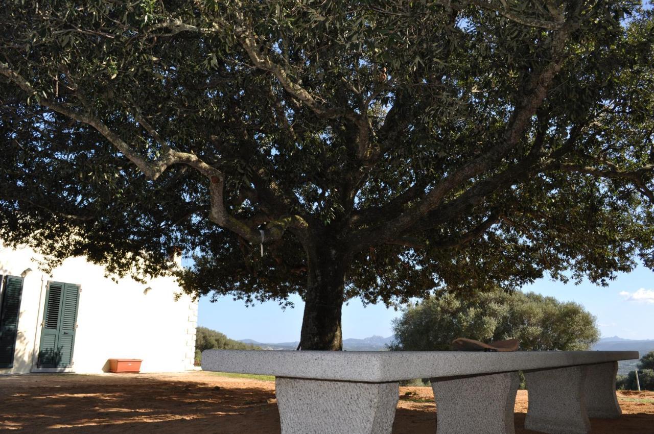 La Striscia Larga Acomodação com café da manhã San Pasquale Exterior foto