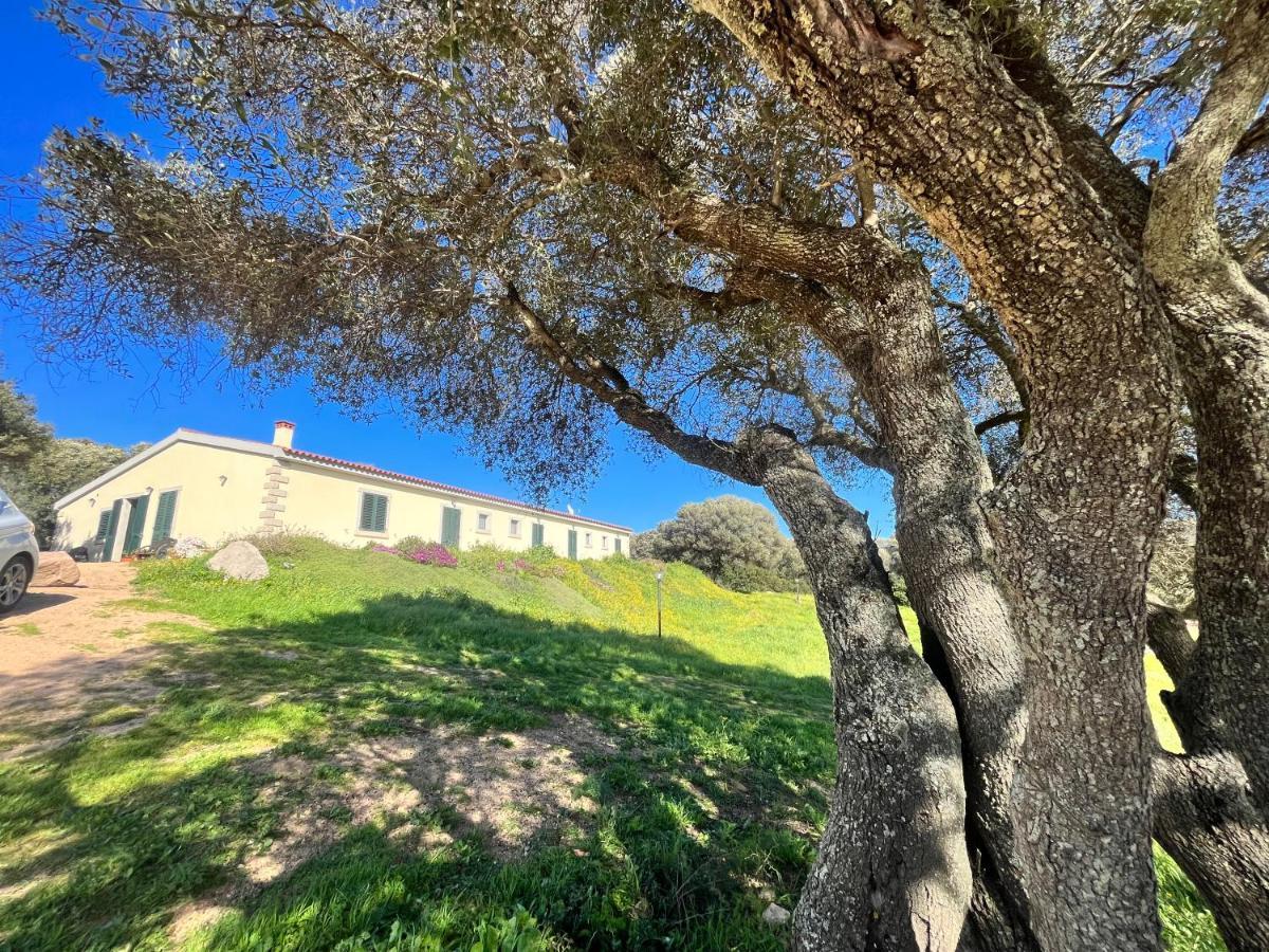 La Striscia Larga Acomodação com café da manhã San Pasquale Exterior foto
