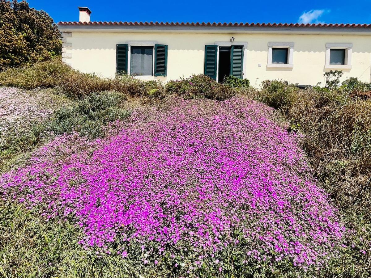 La Striscia Larga Acomodação com café da manhã San Pasquale Exterior foto